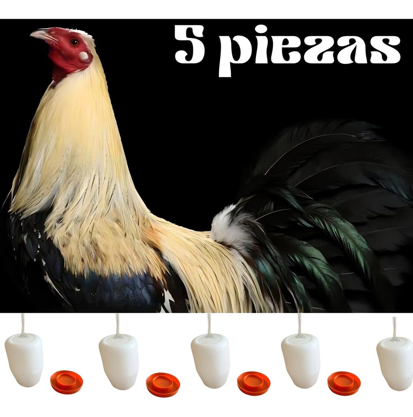 jpg_1500x1500_58711524