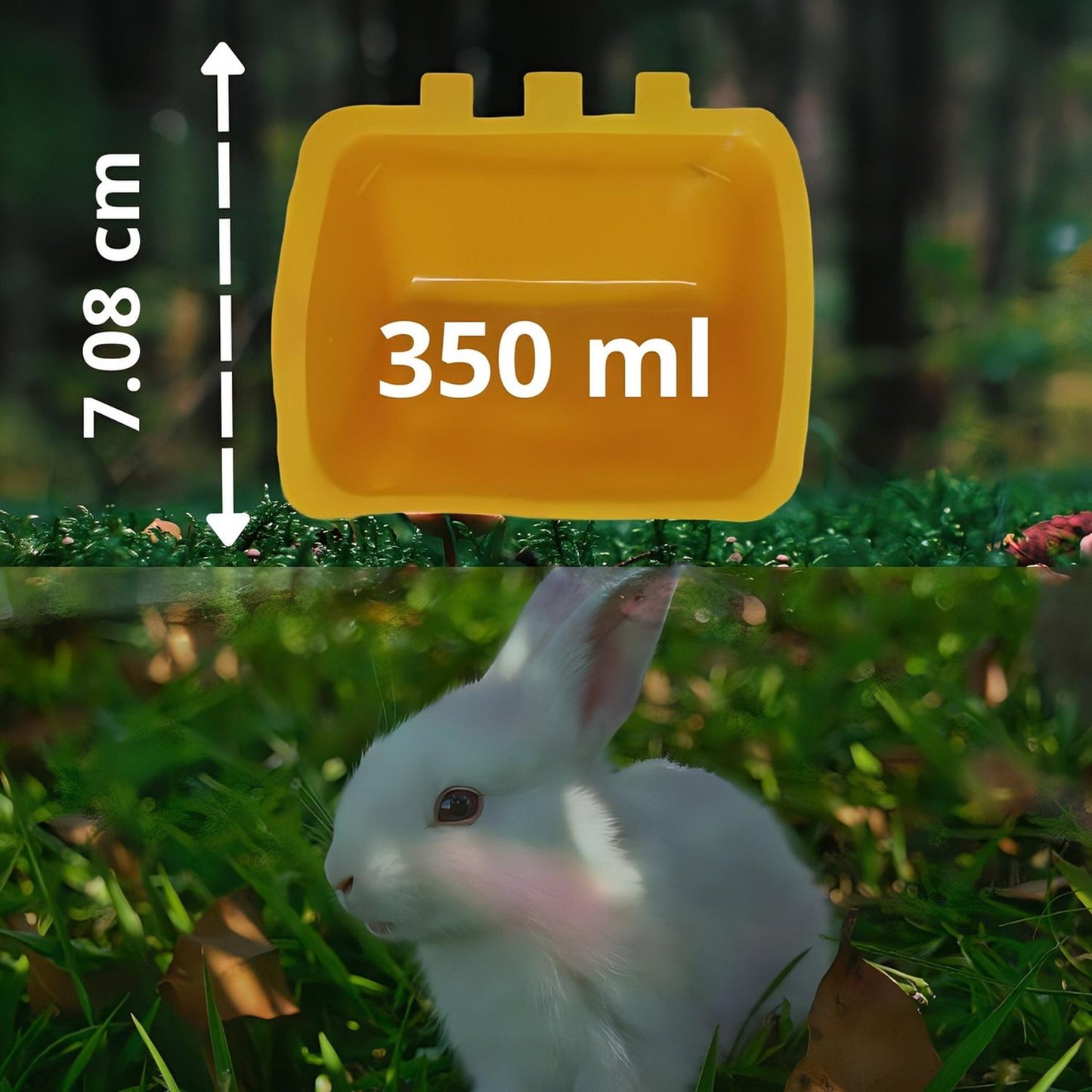 jpg_1500x1500_58708342