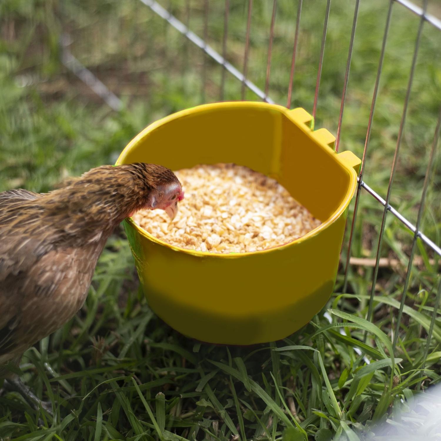 jpeg_1500x1500_62039139