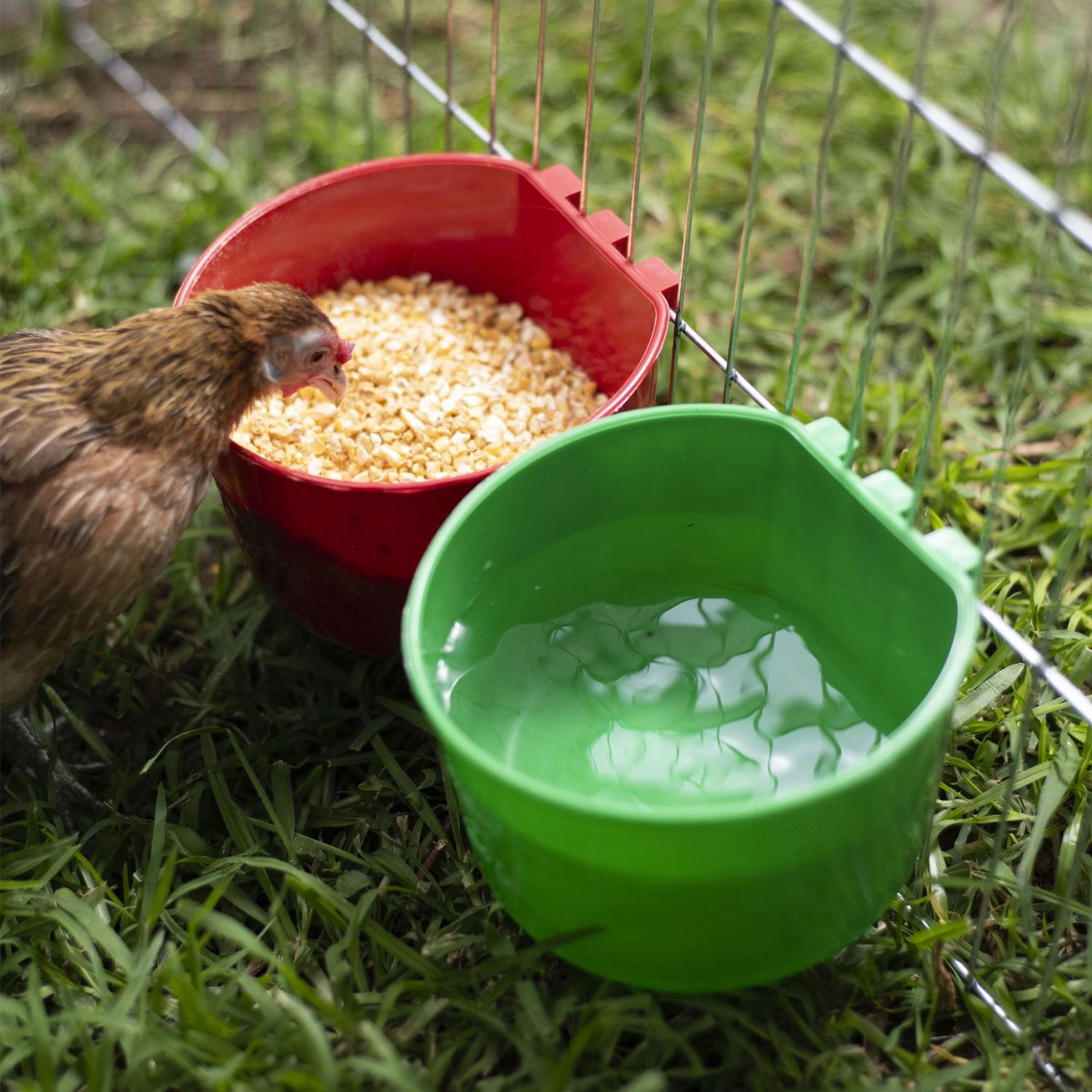 jpeg_1500x1500_62039142