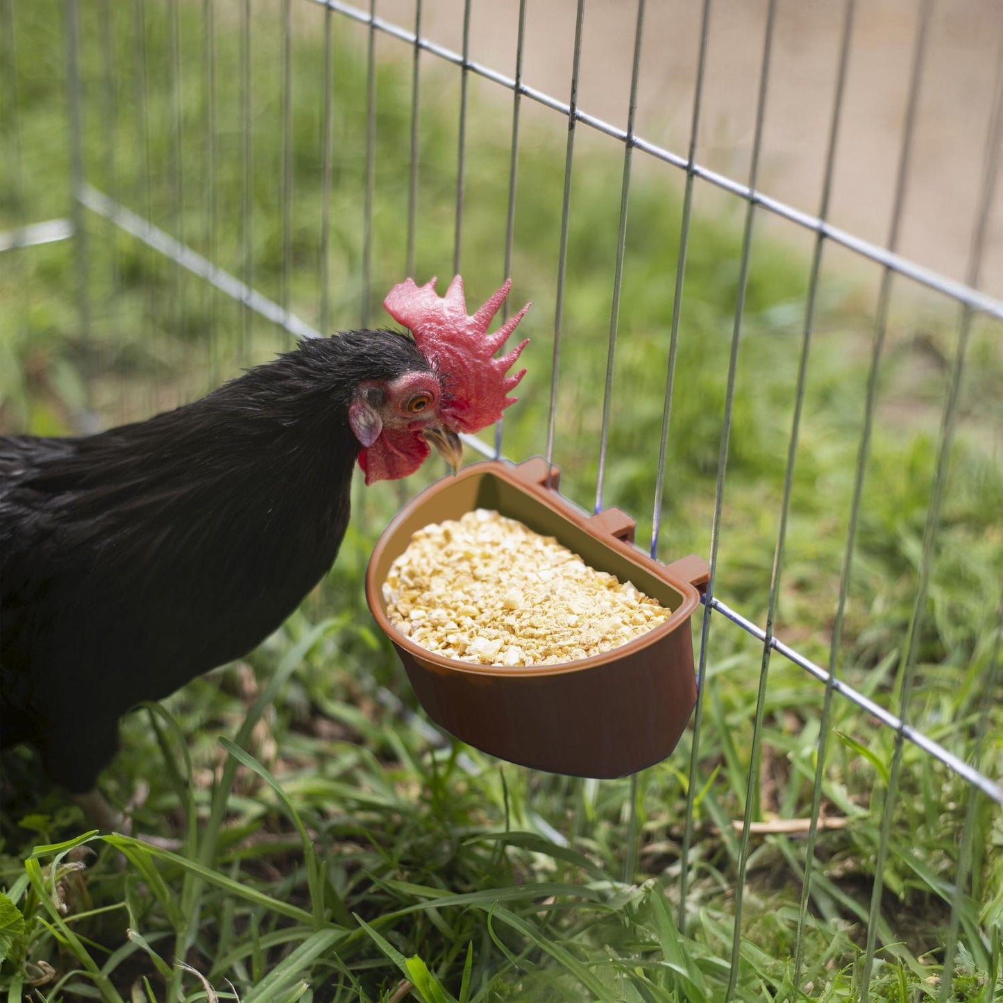 jpg_1500x1500_62099430