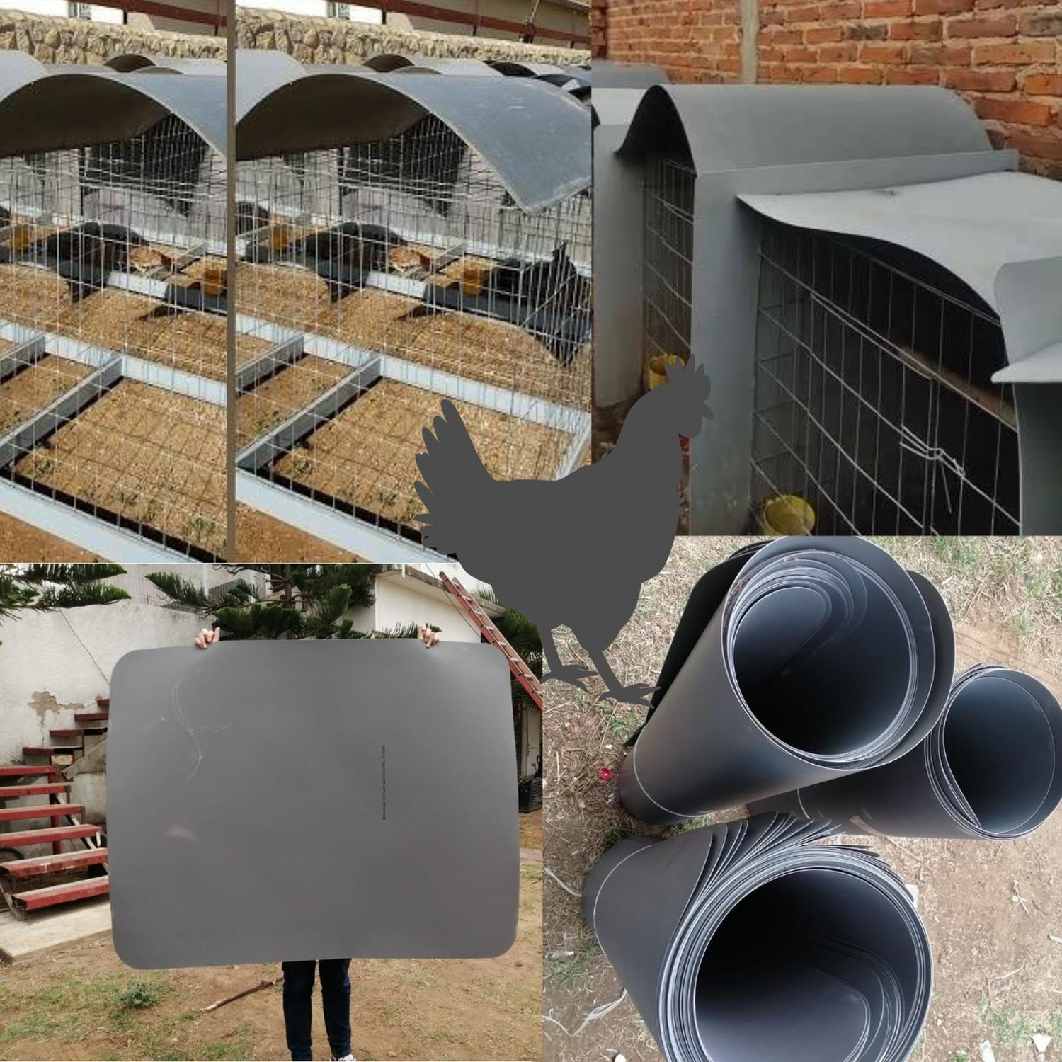 jpg_1500x1500_58709783