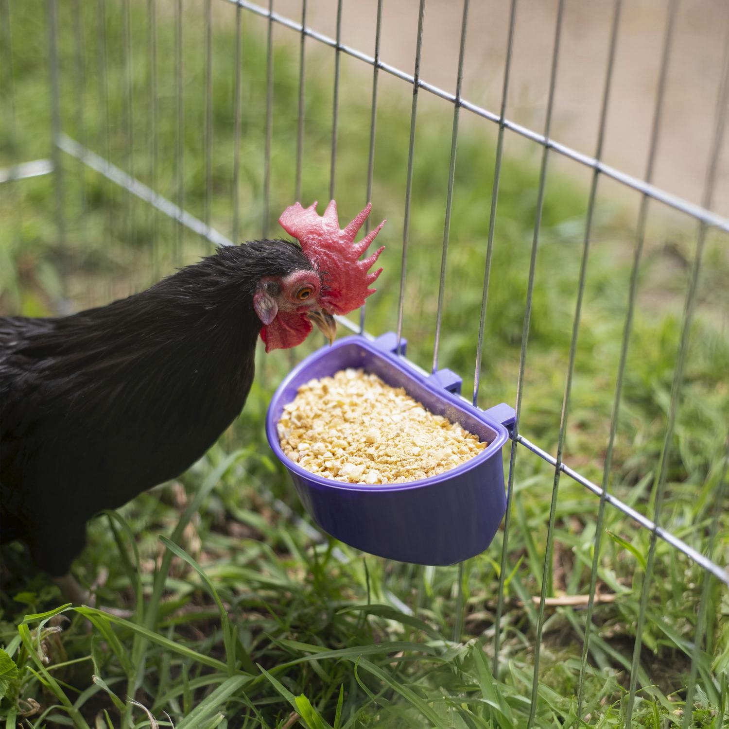 jpg_1500x1500_62099299