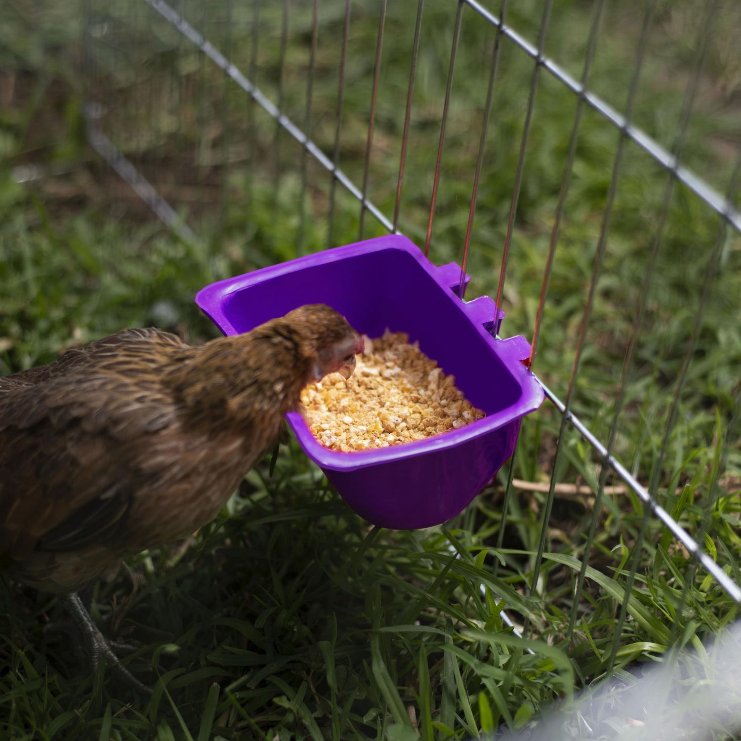 jpg_1500x1500_62106851