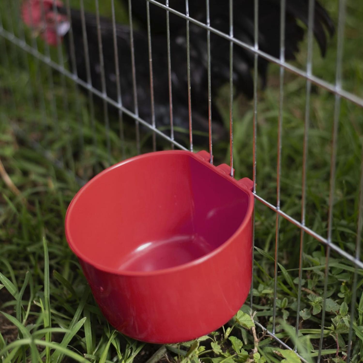 jpeg_1500x1500_62016289