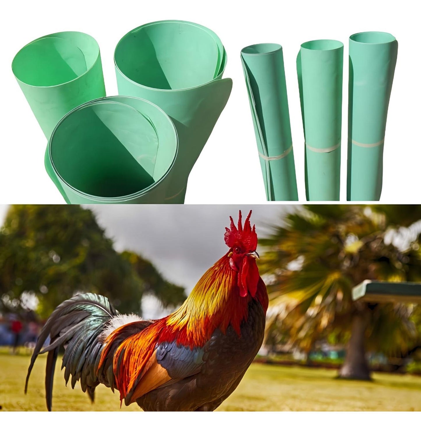 10 Separadores De Gallos Flexibles Verdes Gallos Gallinas