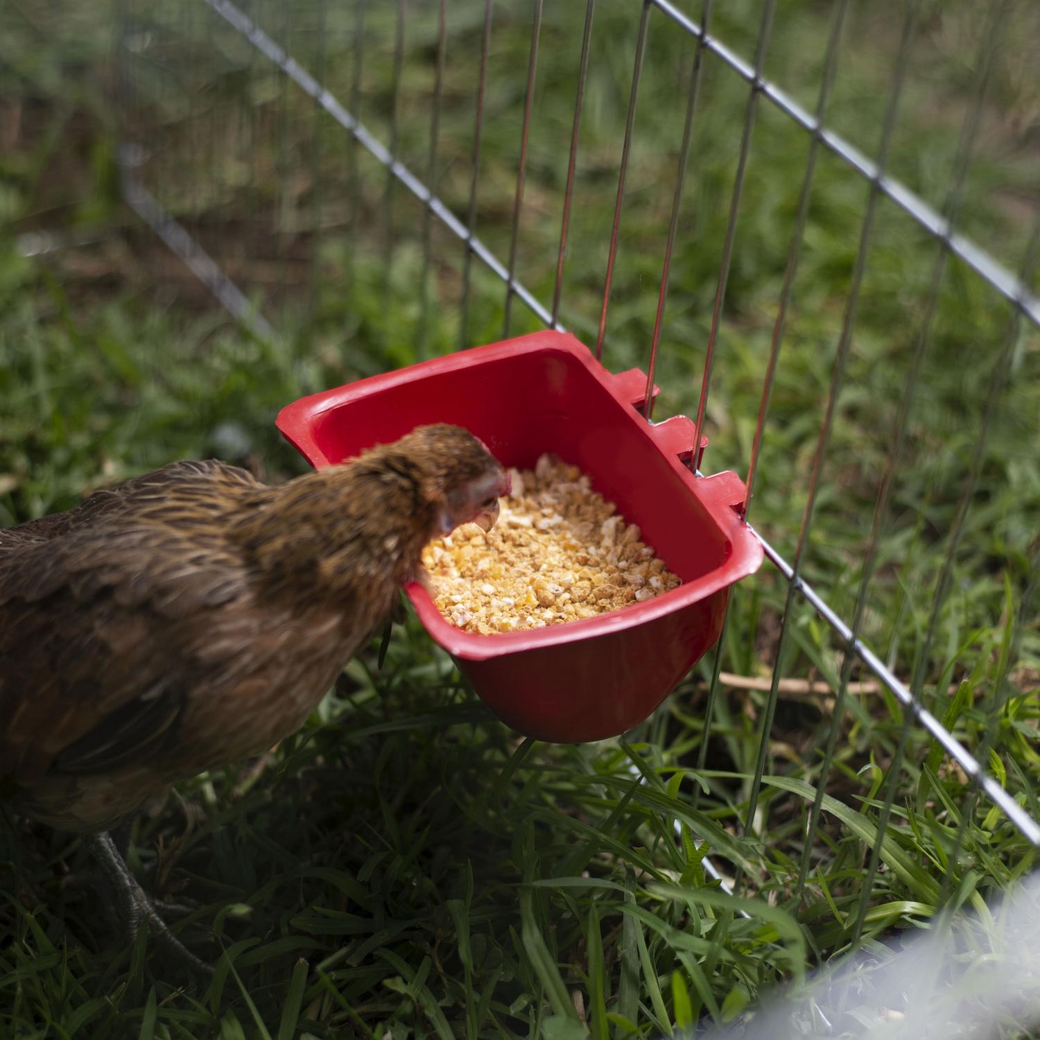 jpg_1500x1500_62106714