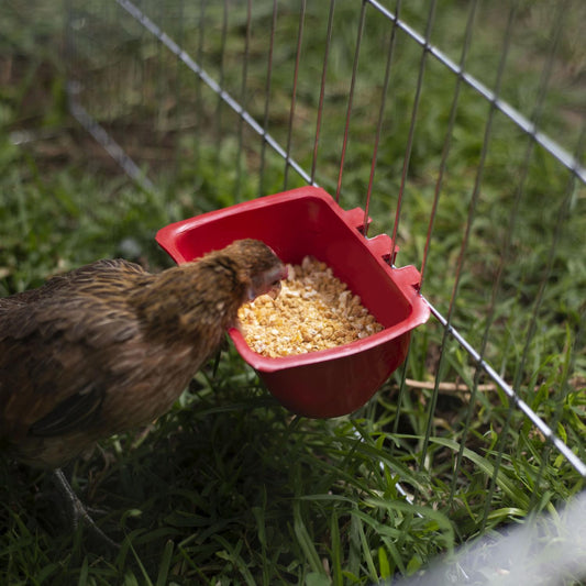 jpg_1500x1500_62106714