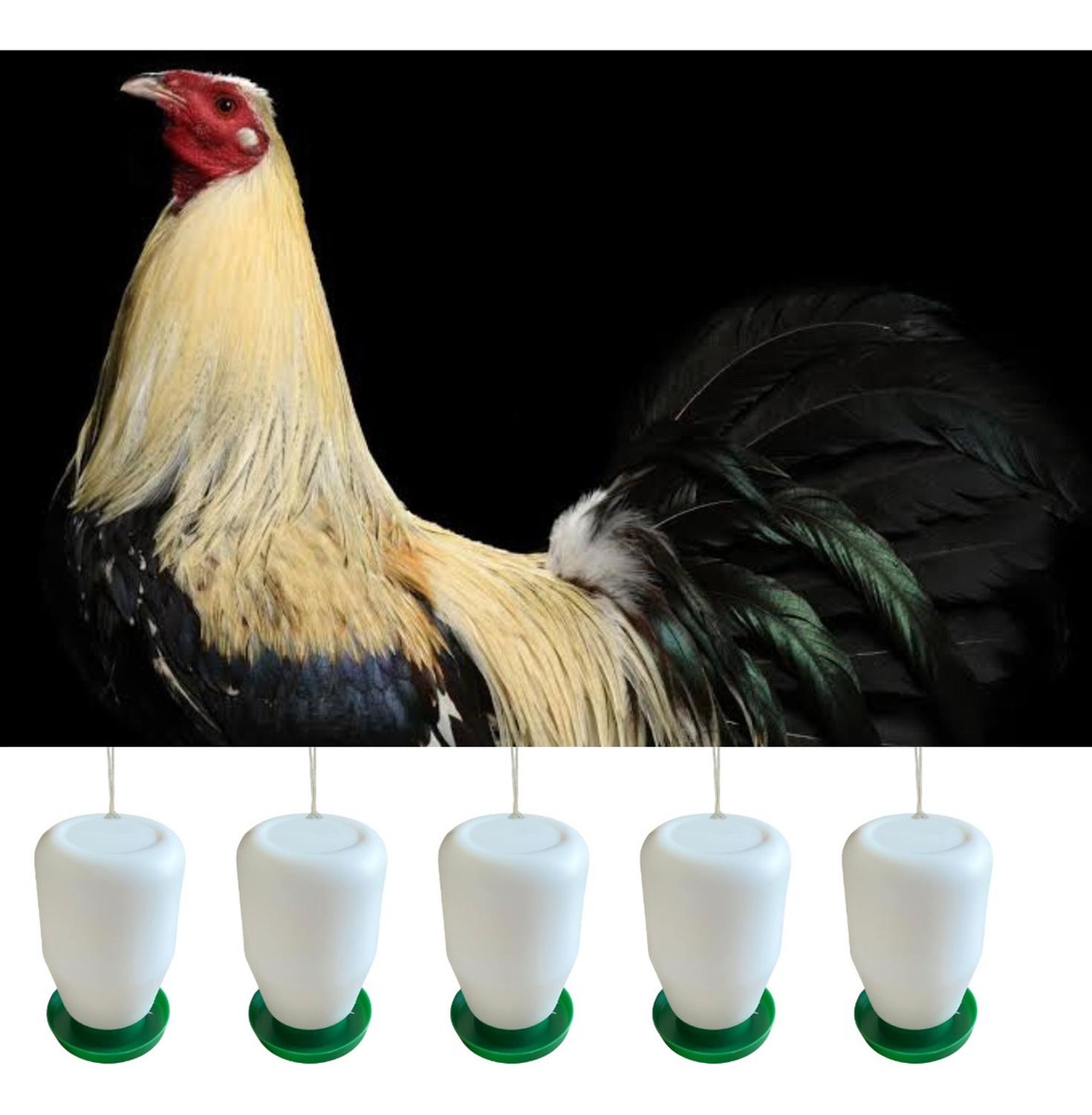 jpg_1500x1500_58710032