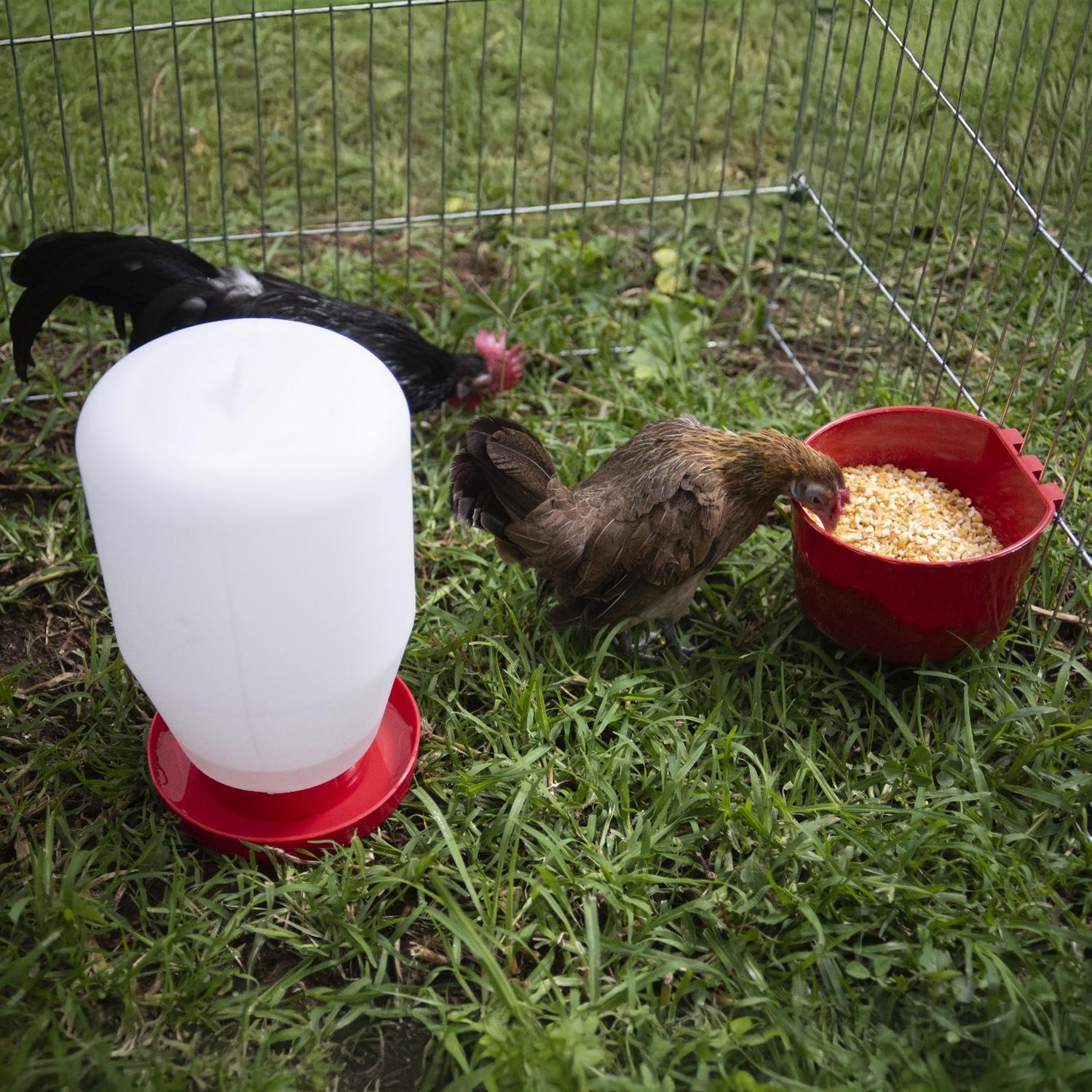 jpeg_1500x1500_62039137