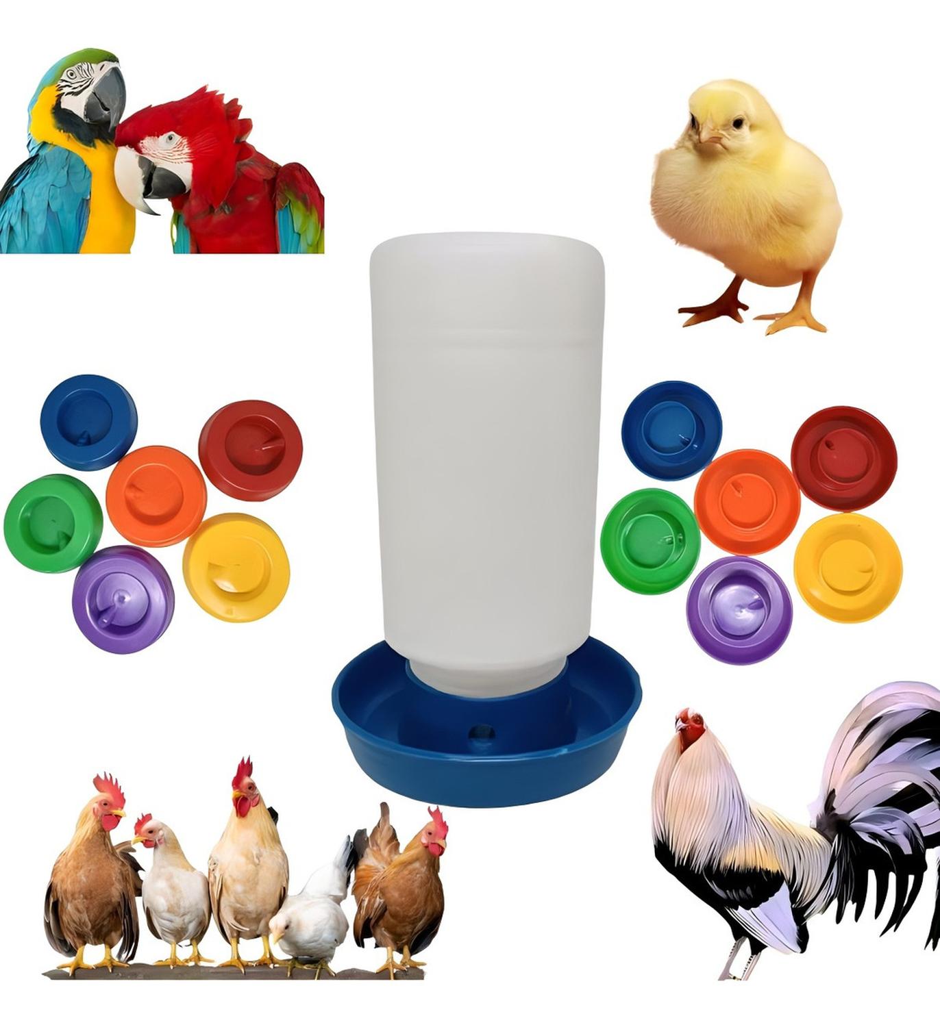 jpg_1500x1500_58708674