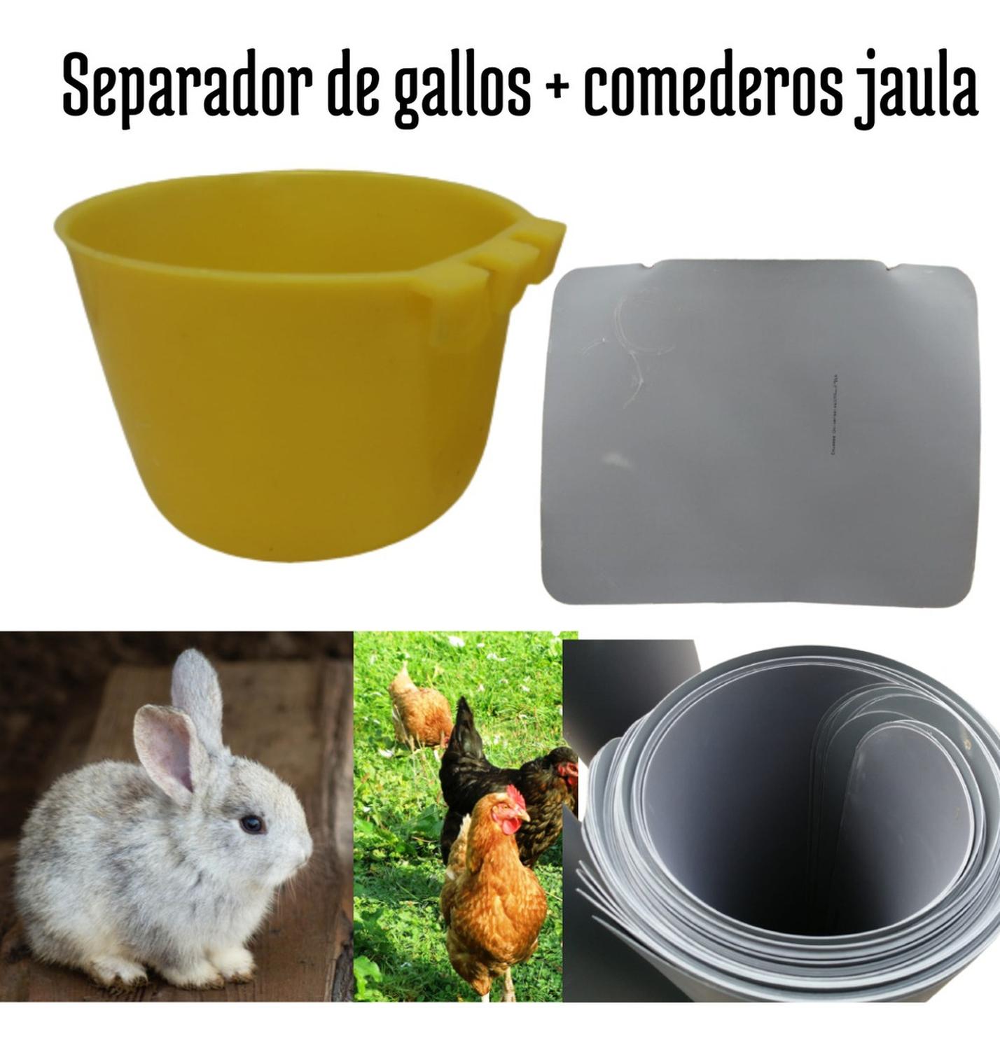 jpg_1500x1500_58709793