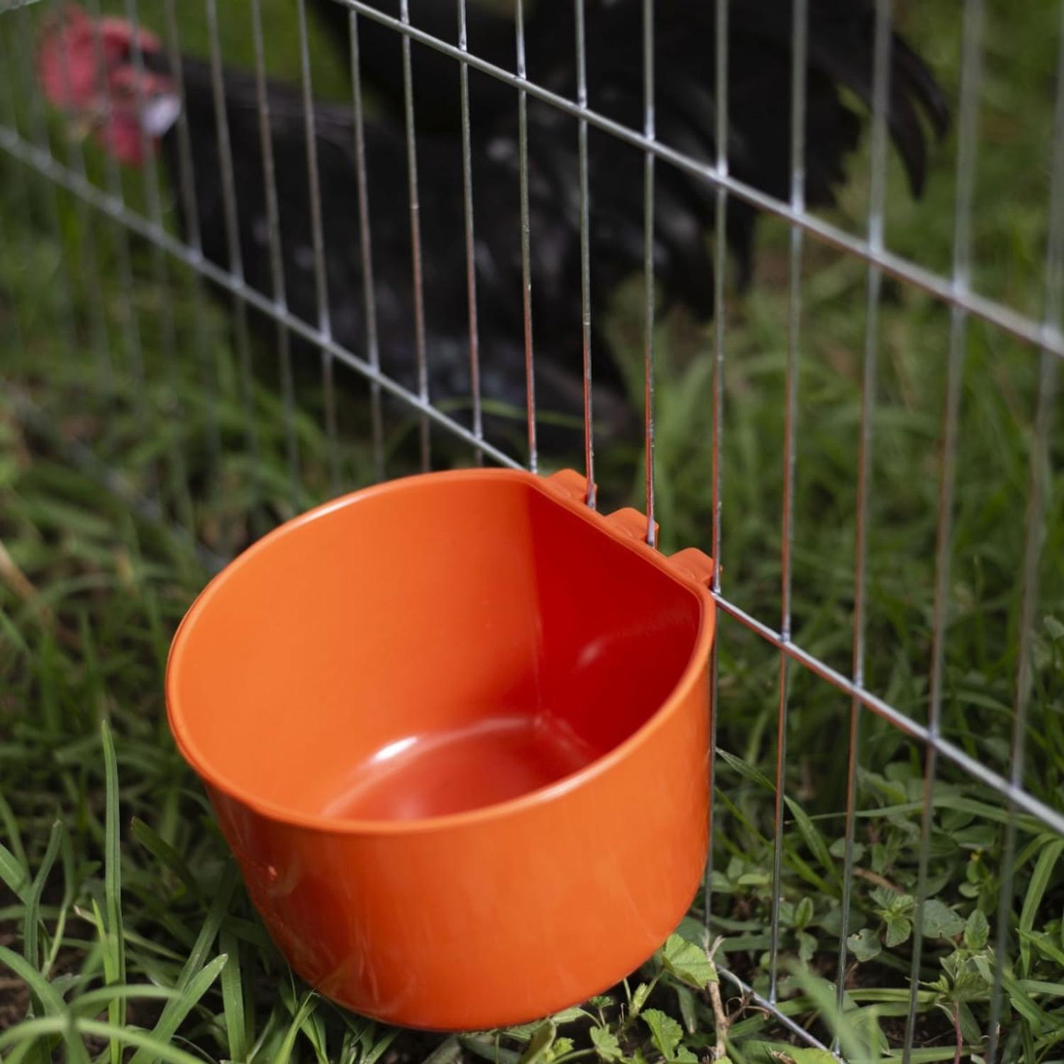 jpeg_1500x1500_62039129