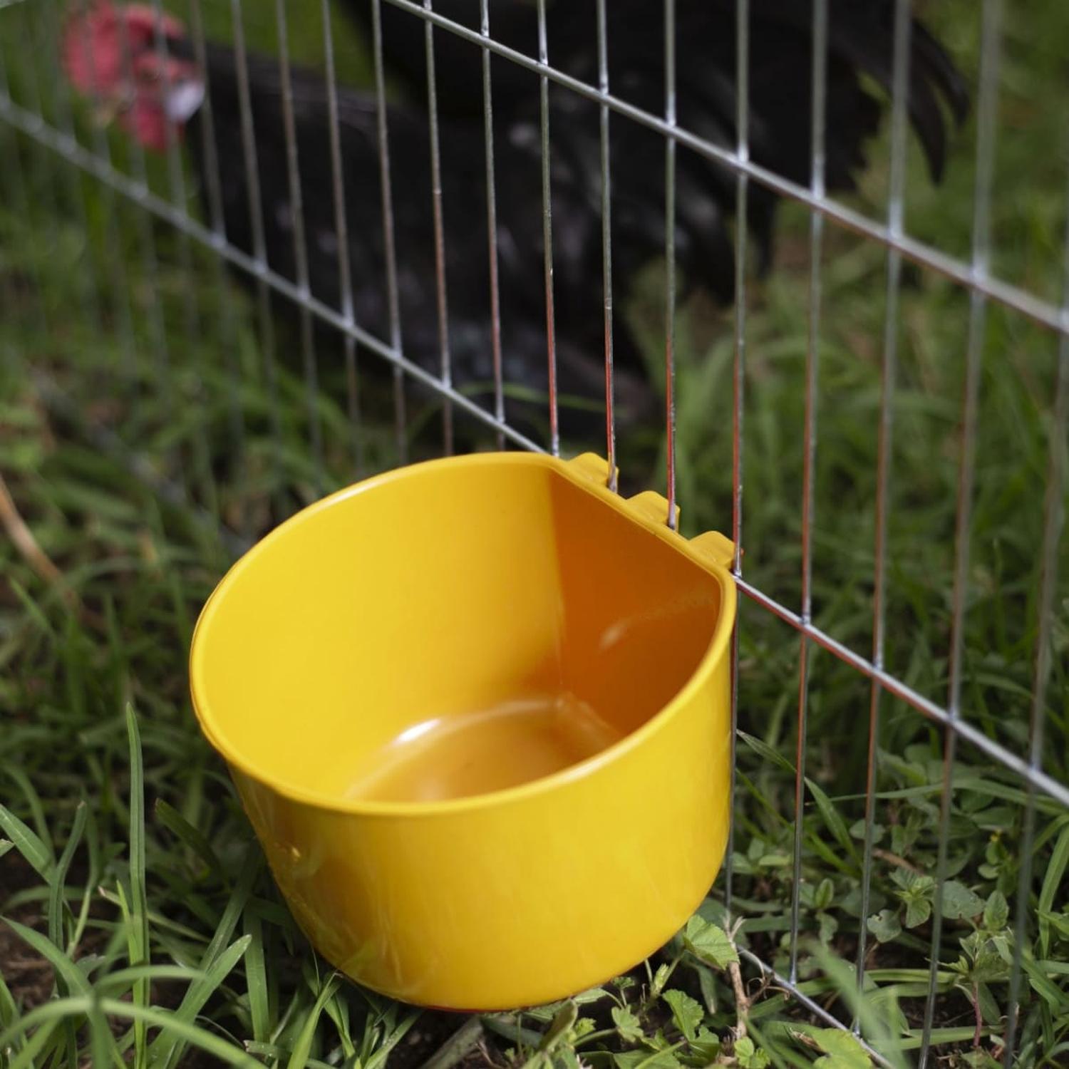 jpeg_1500x1500_62039135