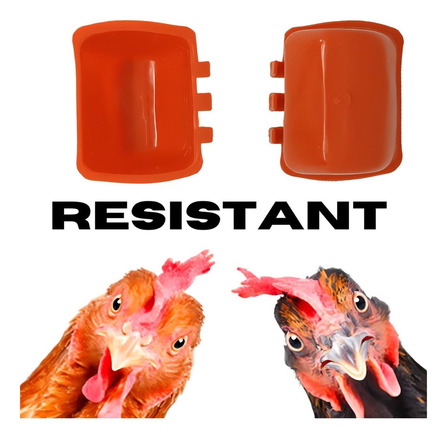 jpg_1500x1500_58707538