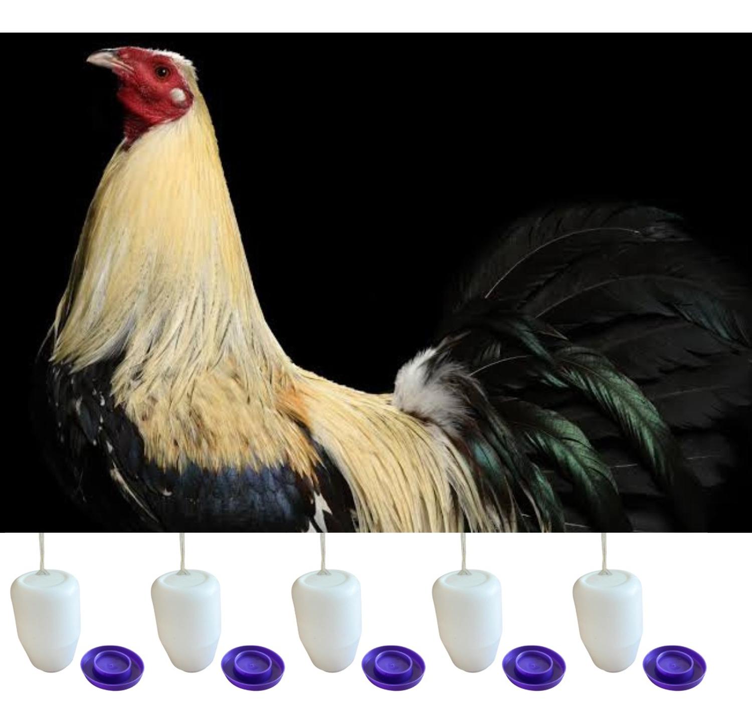 jpg_1500x1500_58710052