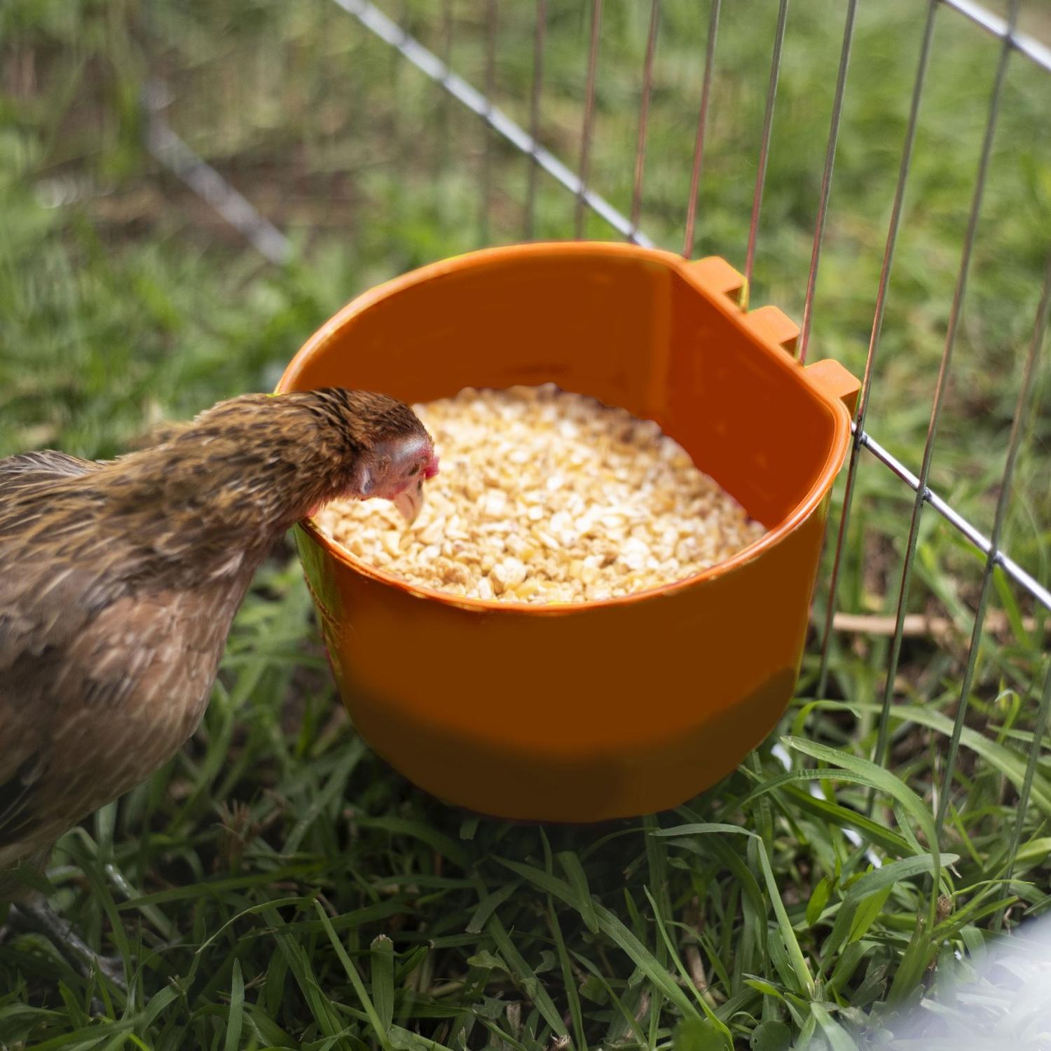 jpeg_1500x1500_62039144