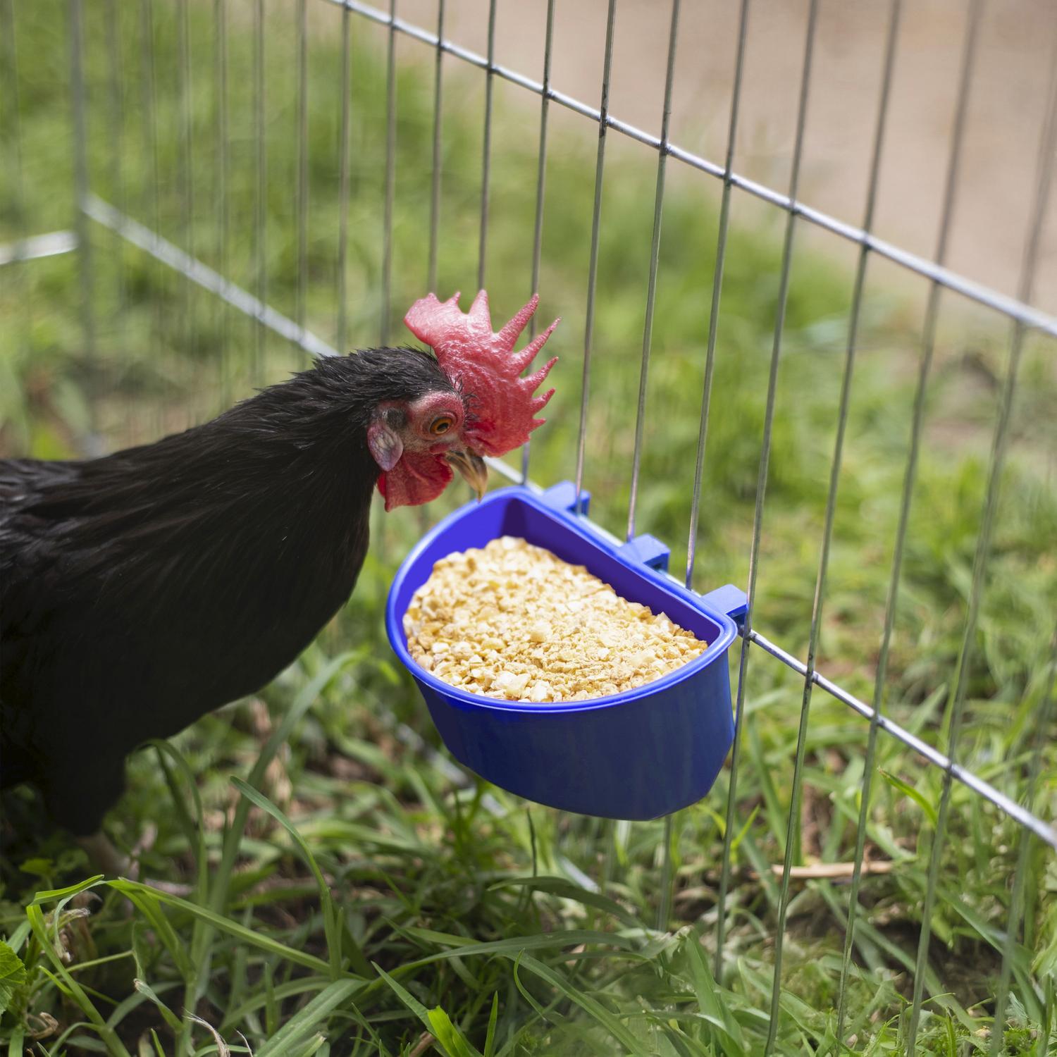 jpg_1500x1500_62099423