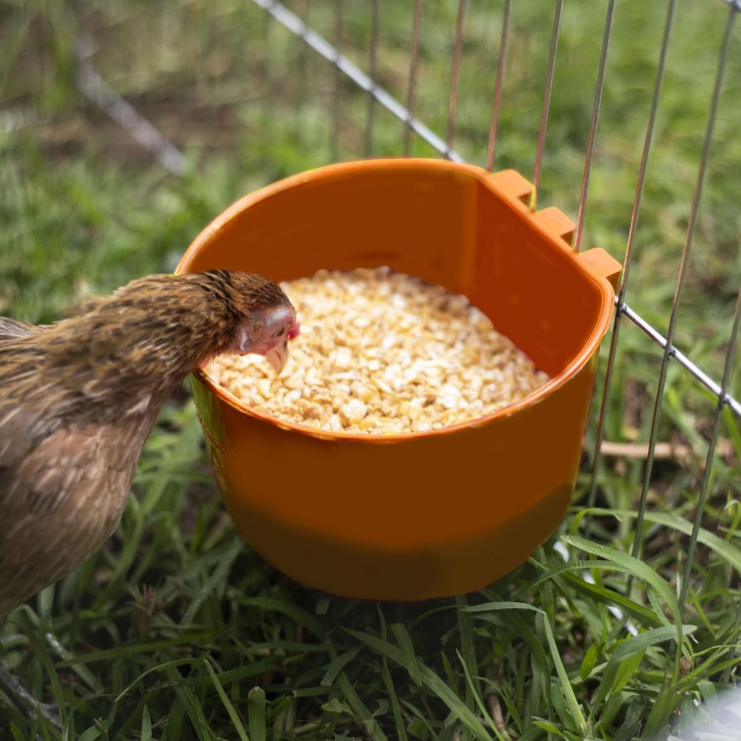 jpeg_1500x1500_62039136