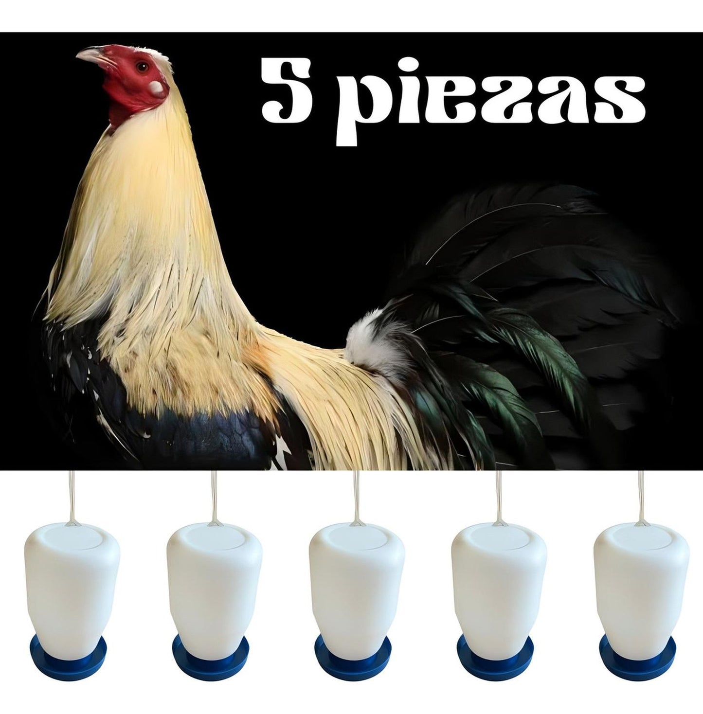 jpg_1500x1500_58711538