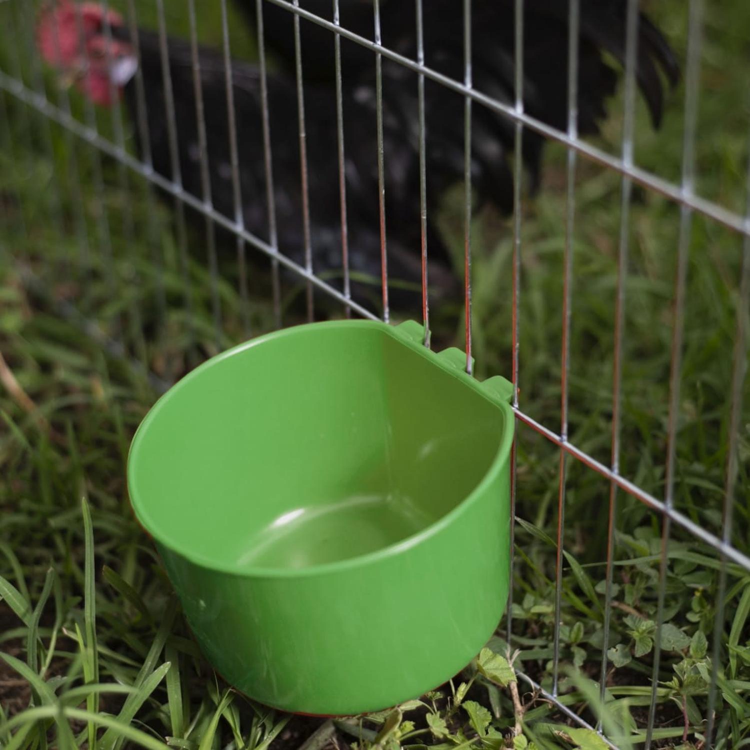 jpeg_1500x1500_62016288