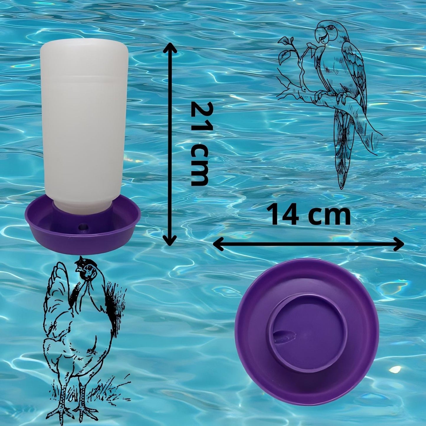 jpg_1500x1500_58708682