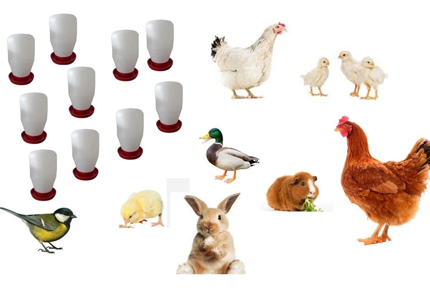 jpg_1500x1500_58706621