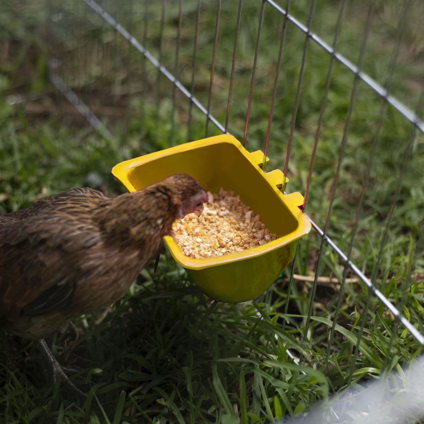 jpg_1500x1500_62106787