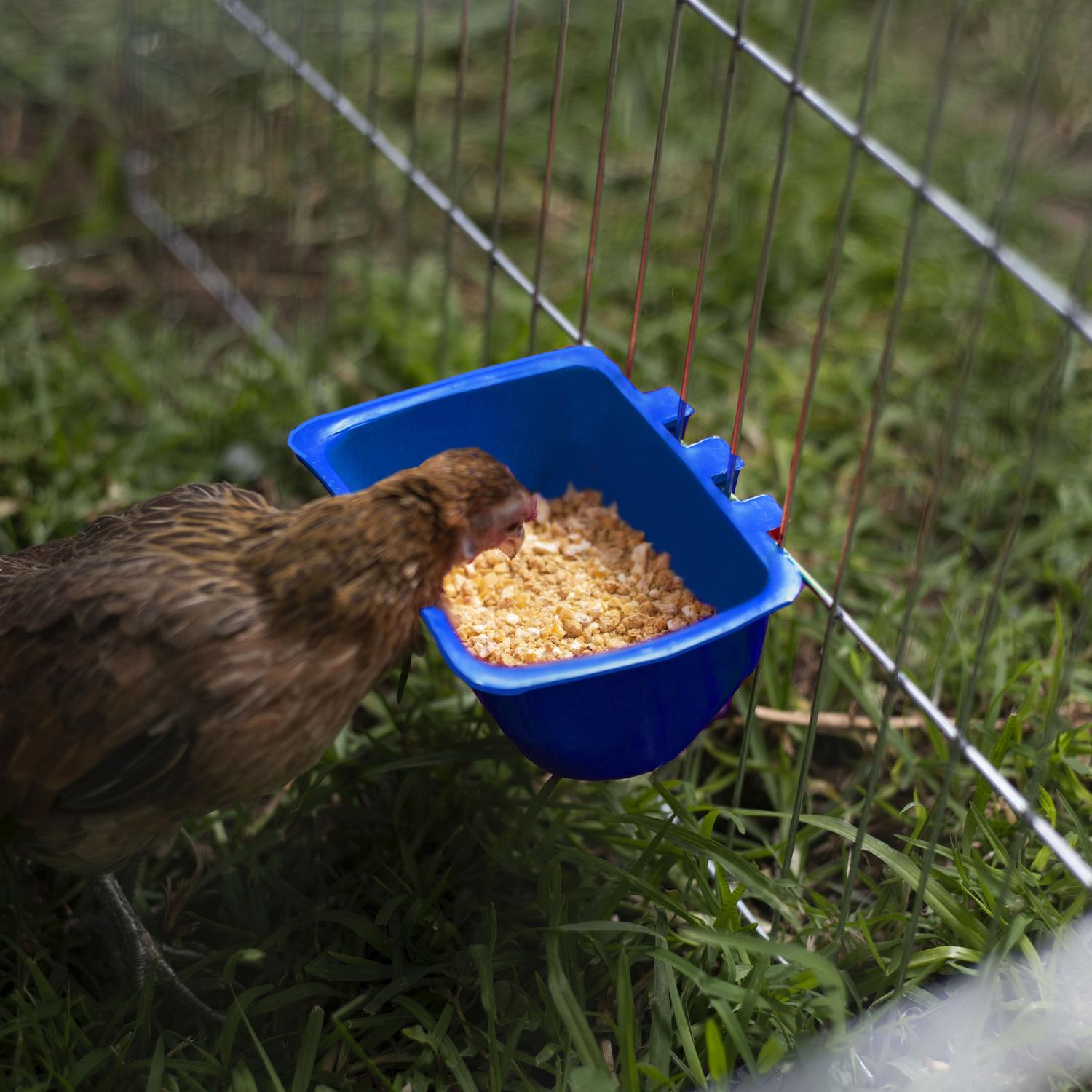 jpg_1500x1500_62106784