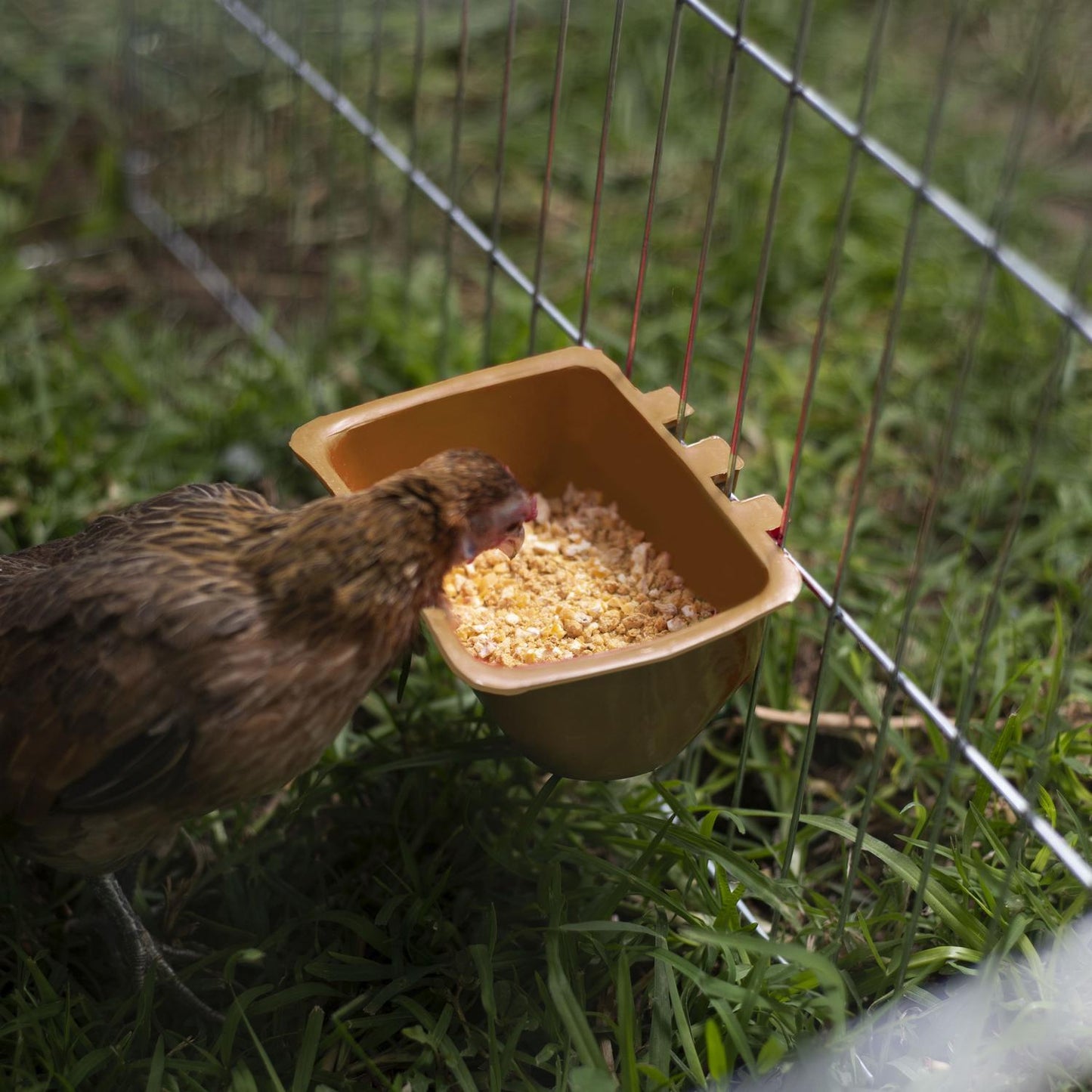 jpg_1500x1500_62106799