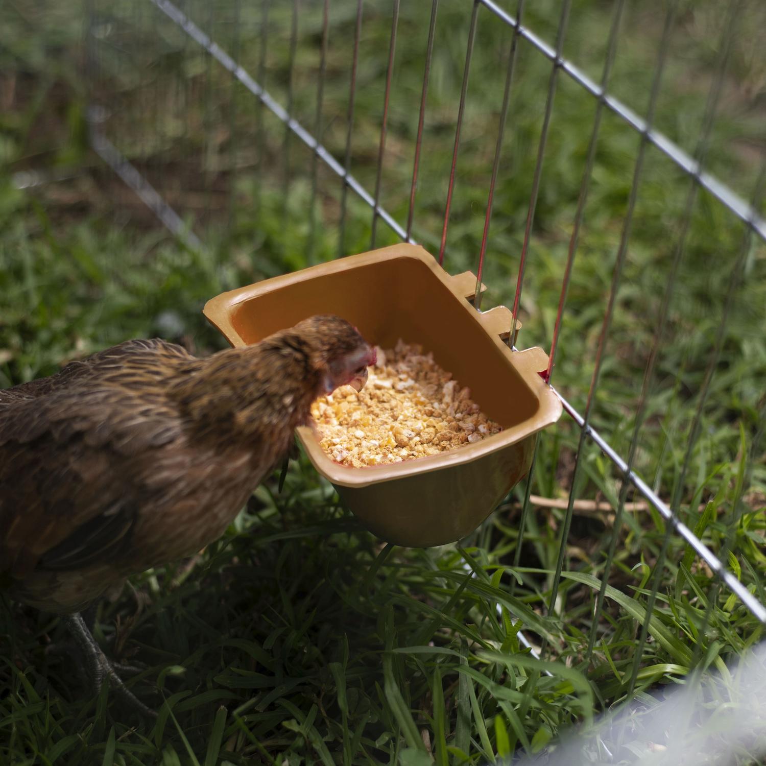 jpg_1500x1500_62106799