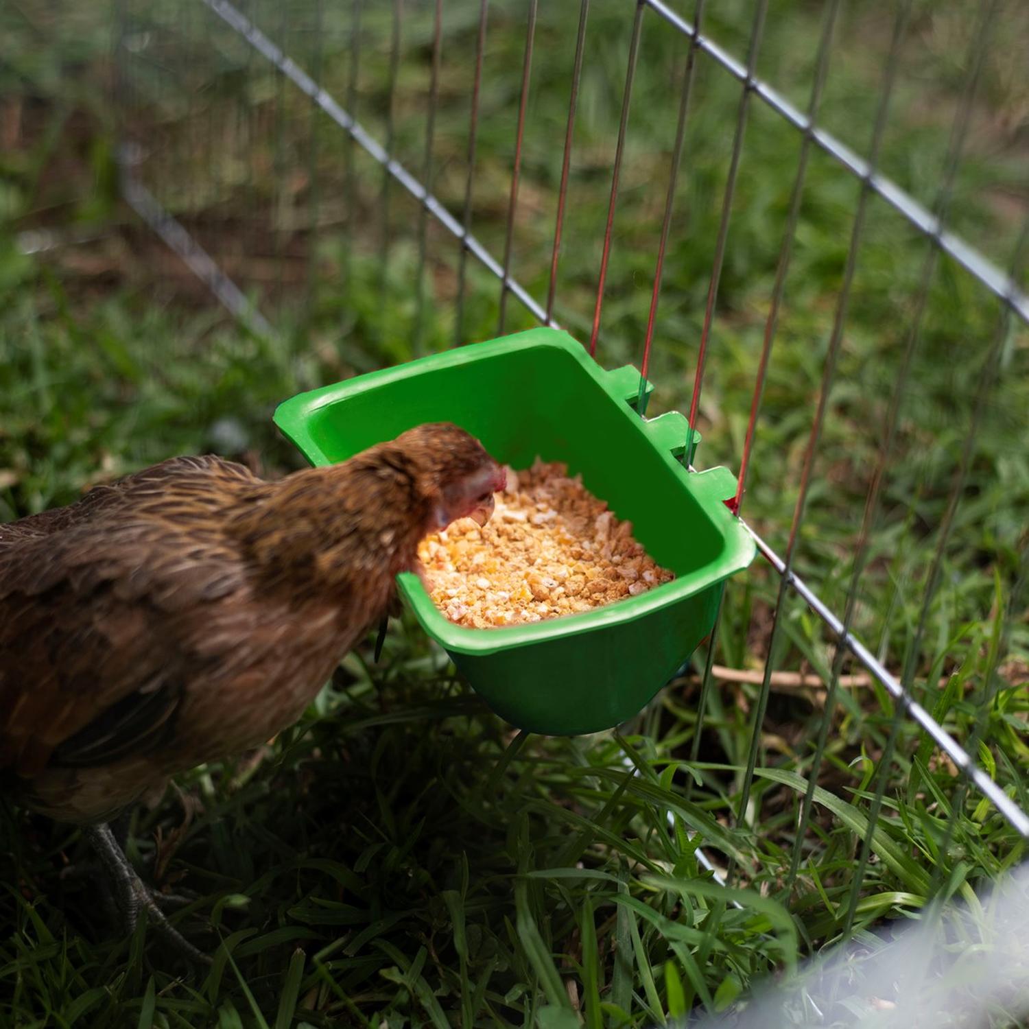 jpg_1500x1500_62106988