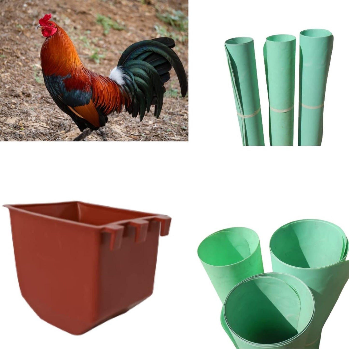 jpg_1500x1500_58710281