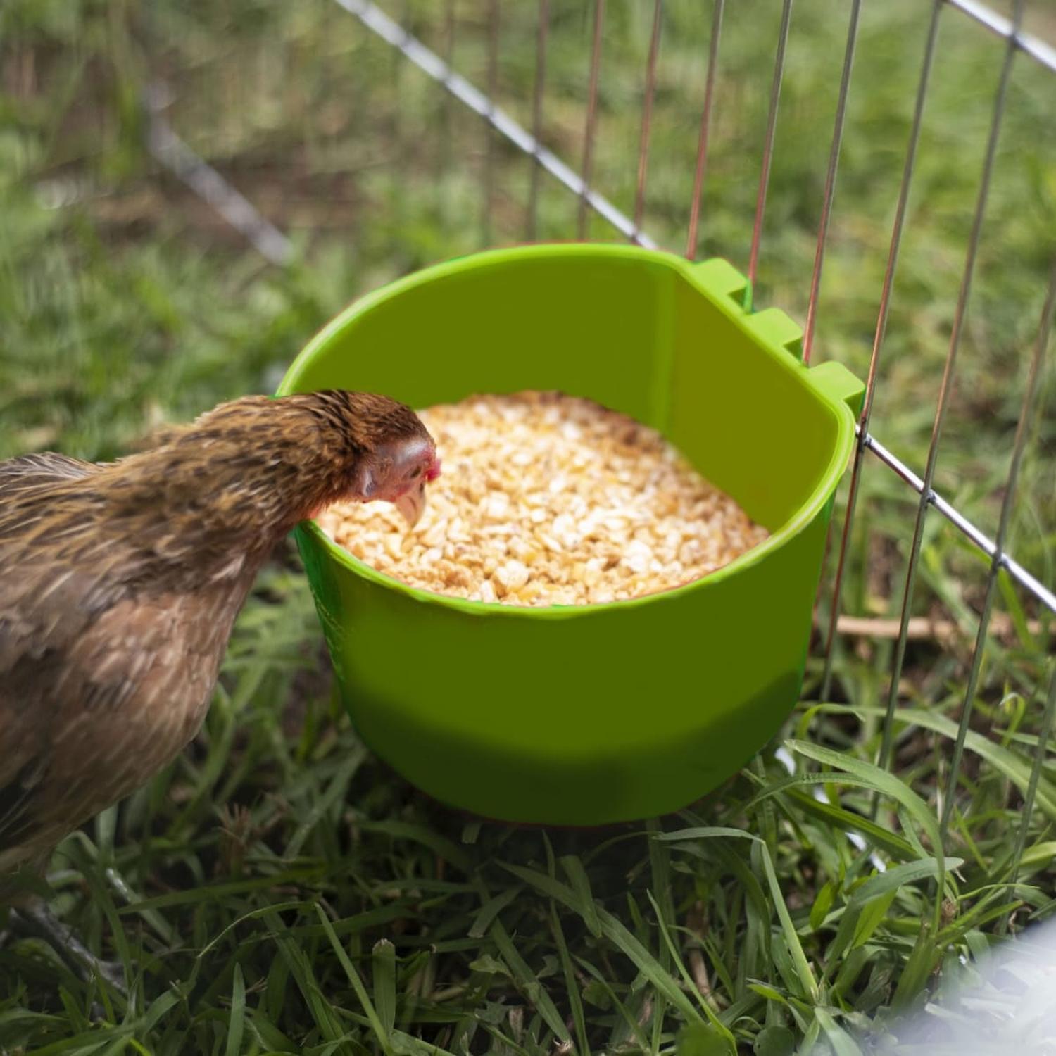 jpeg_1500x1500_62039126