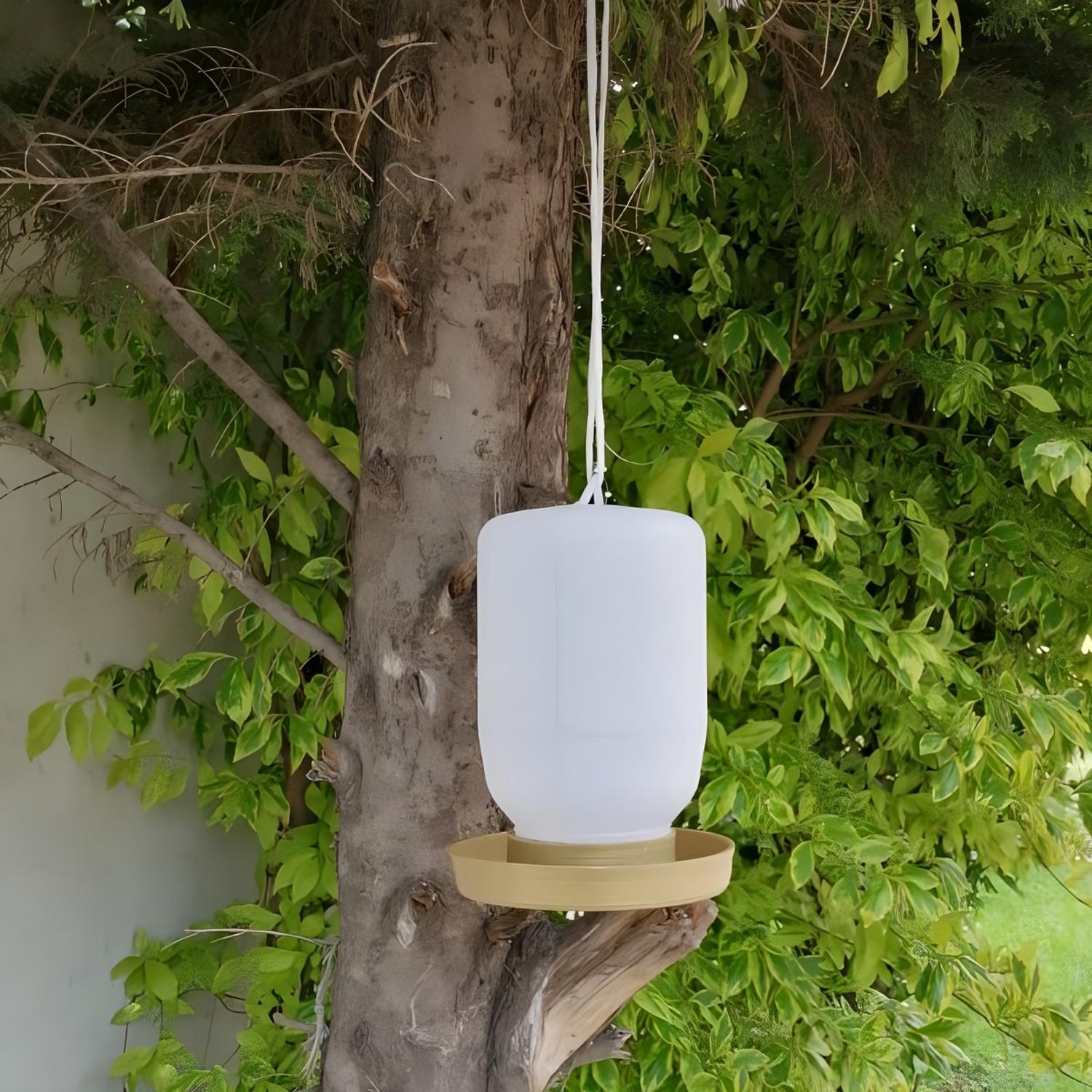 jpg_1500x1500_58711549