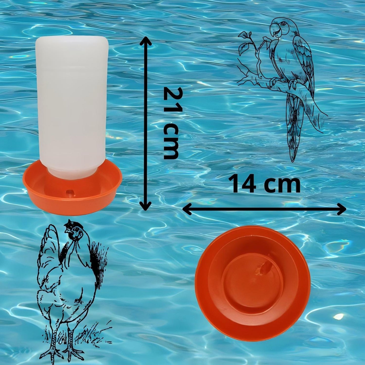 jpg_1500x1500_58708664