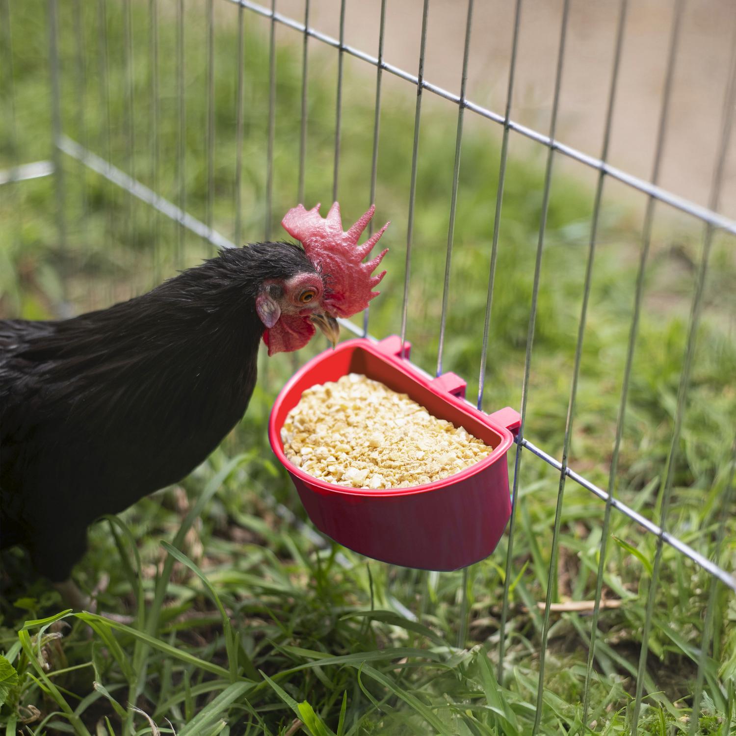 jpg_1500x1500_62099422