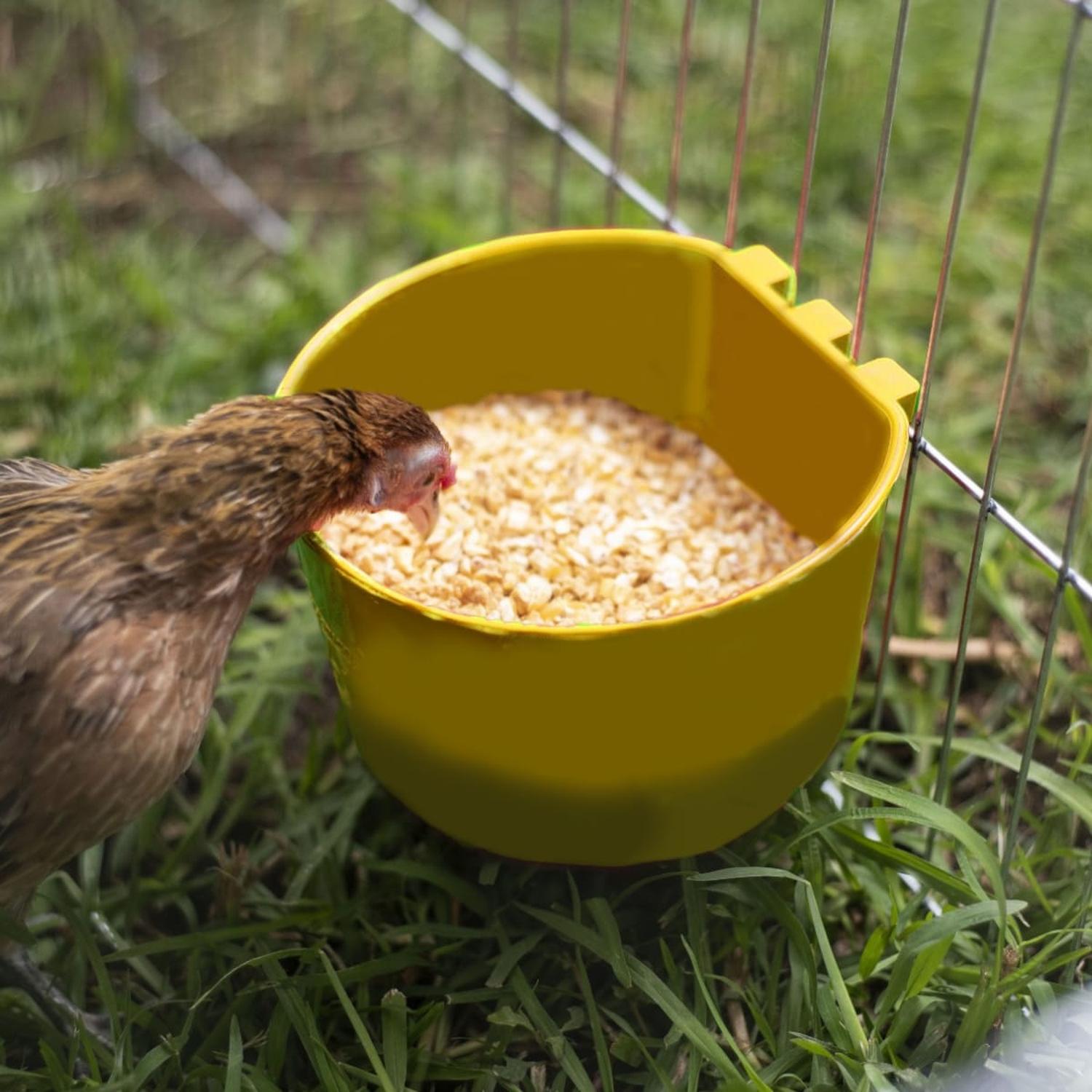 jpeg_1500x1500_62016275