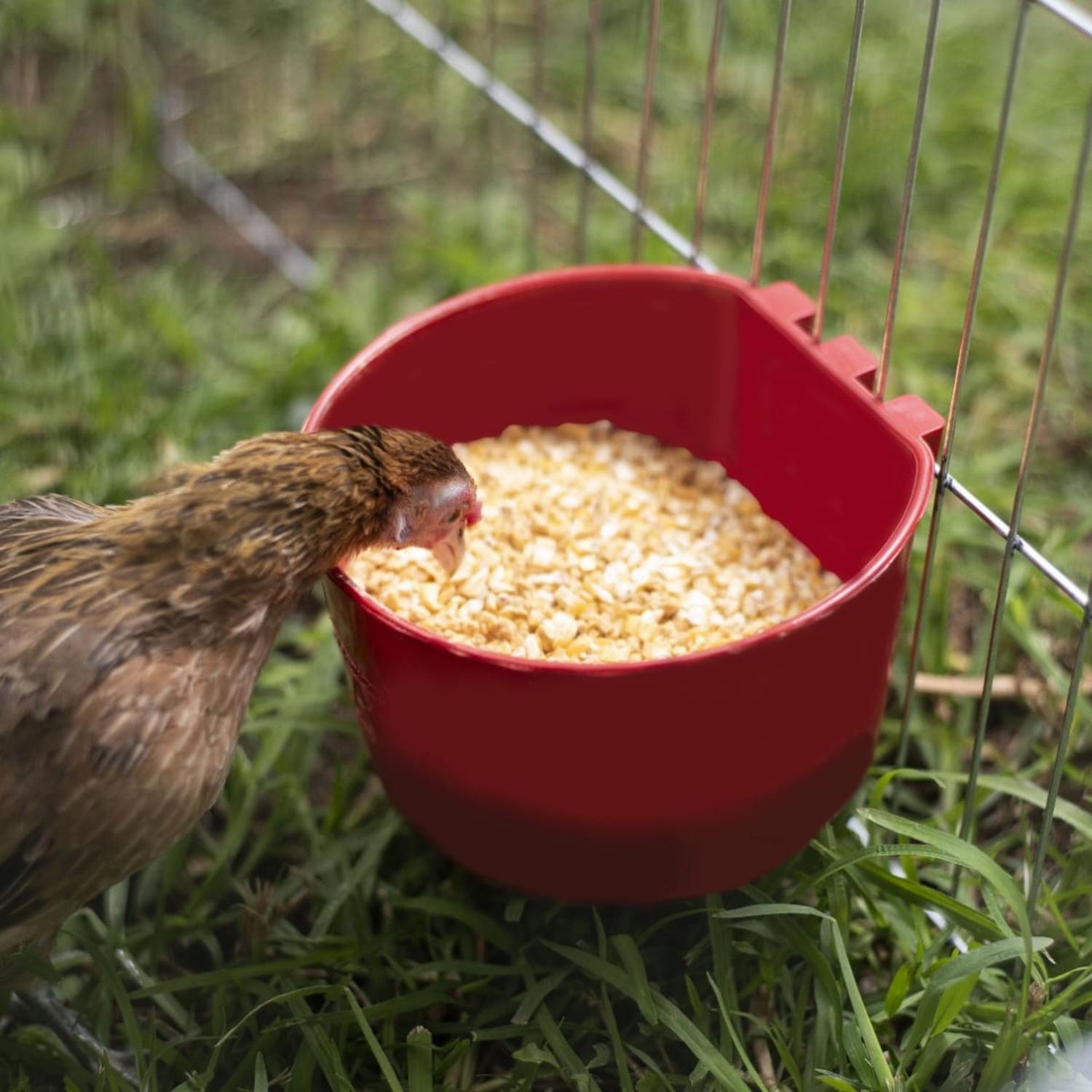 jpeg_1500x1500_62099437