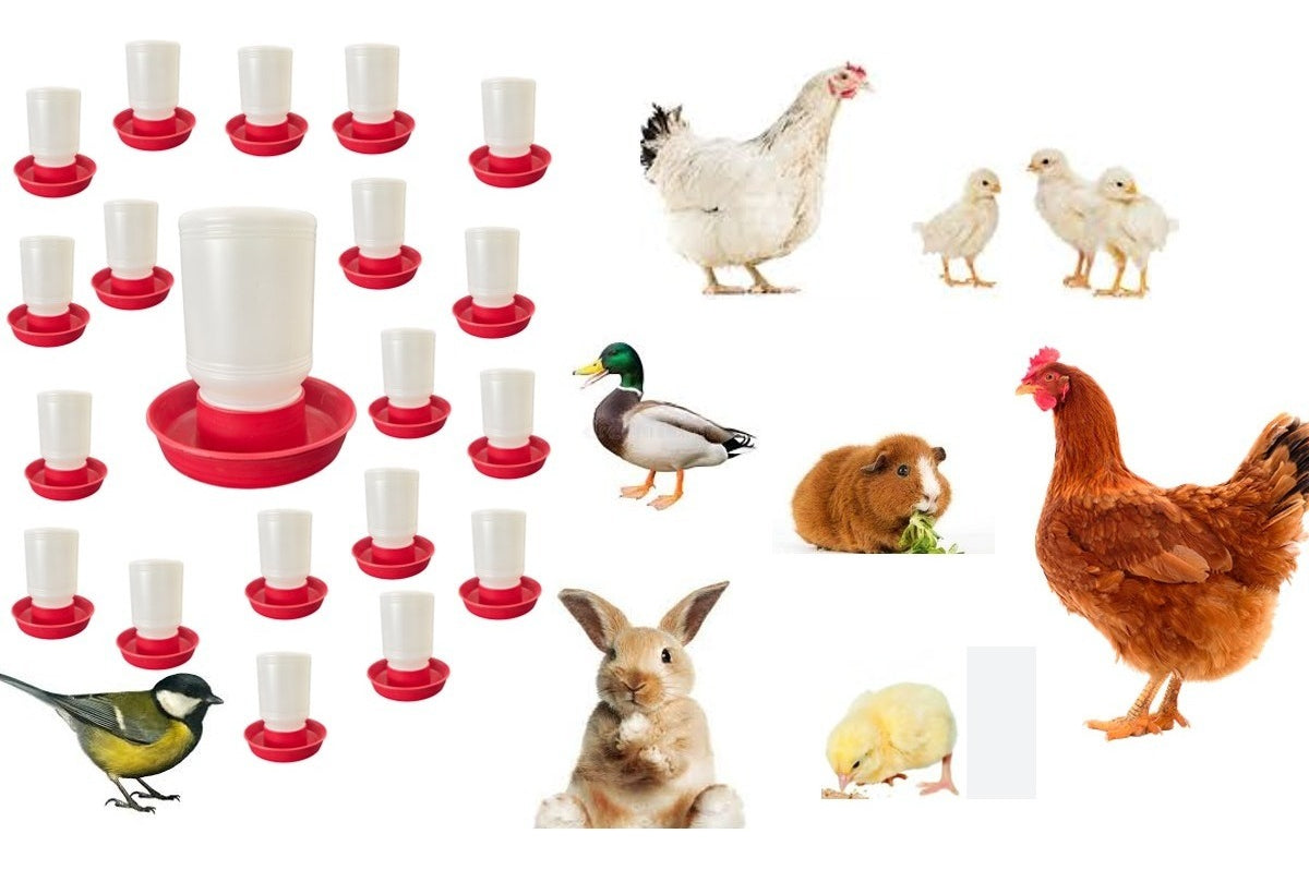 Bebedero Para Pollo O Pájaro 1/2 Litro 20 Piezas