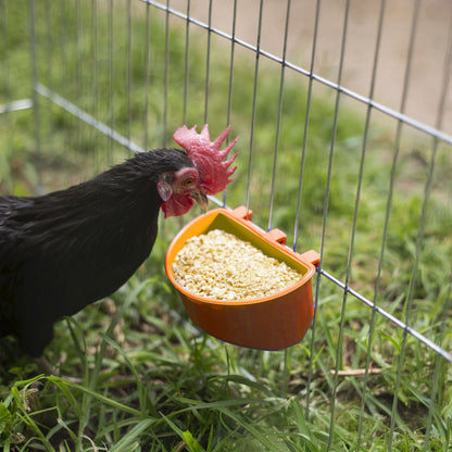 Comedero Media Luna Gallo Pollo Amarillo 20 Pz Más 3 Regalo