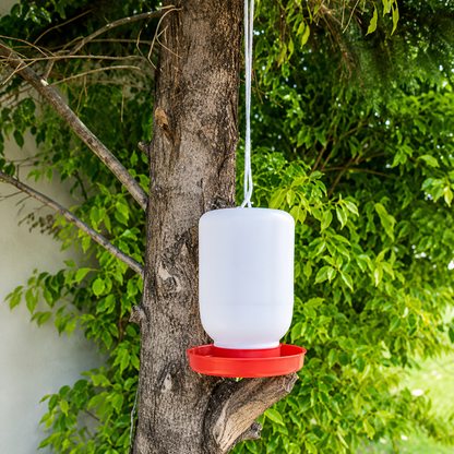 1 Bebedero Colgante 4 Litros Para Gallo Aves Pollo Colibri