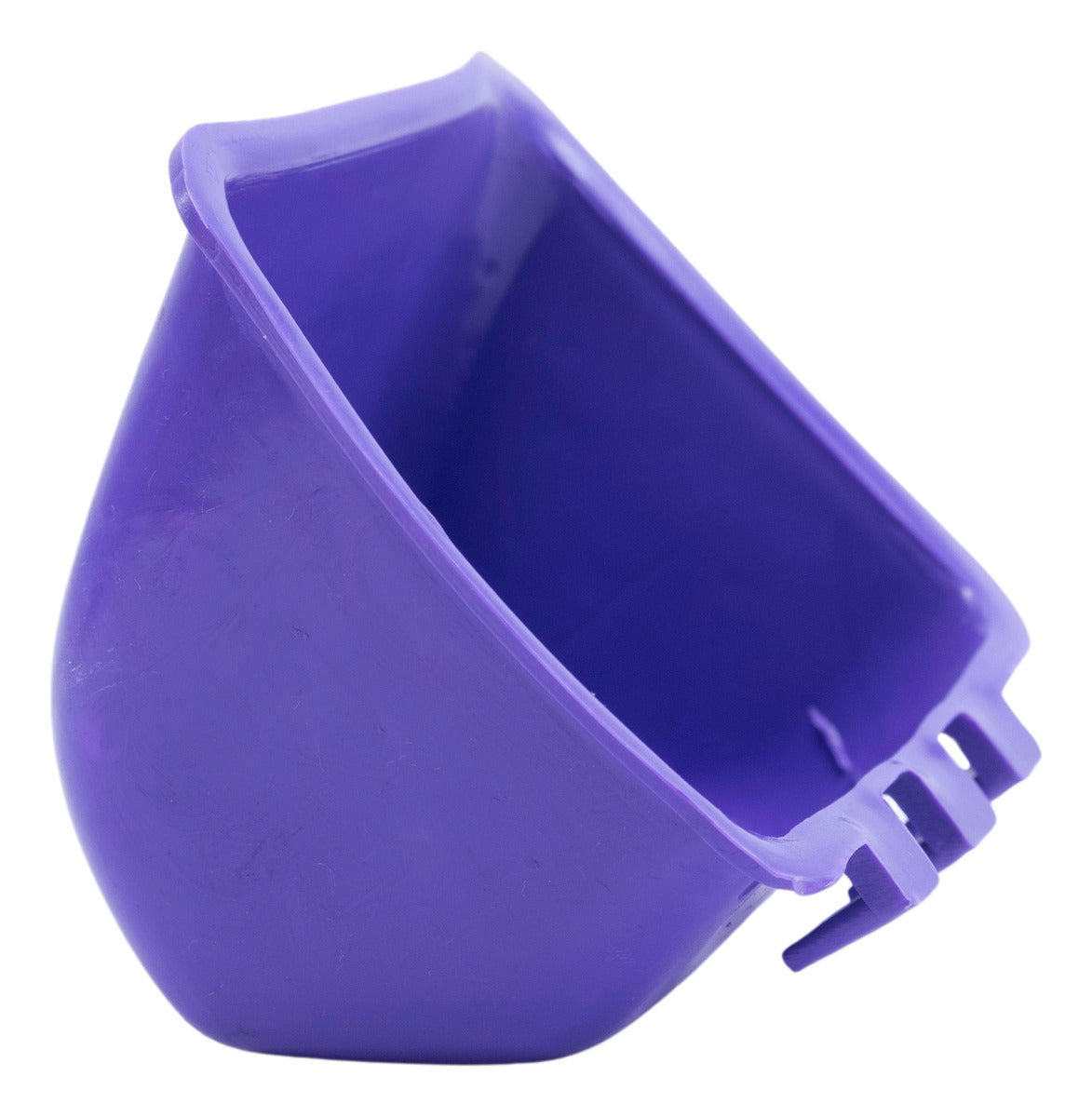 Comedero Champions Ave Gallo Jaula Morado 20 Pz + 3 Regalo
