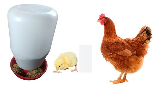 25 Comederos Para Pollos O Gallinas 4 L