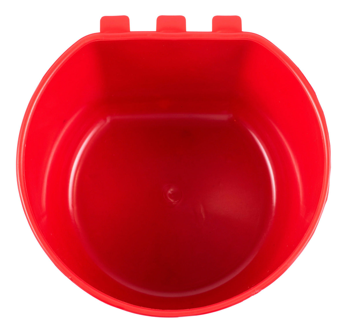 Bebedero Gallo Ave Pájaro 50 Pz Más 10pz Media Luna Regalo