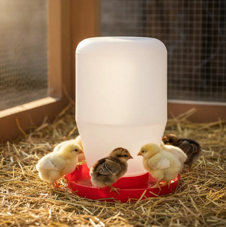 Bebedero Para Pollos O Pajaros De 4l 5 Piezas