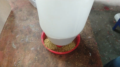 25 Comederos Para Pollos O Gallinas 2 L