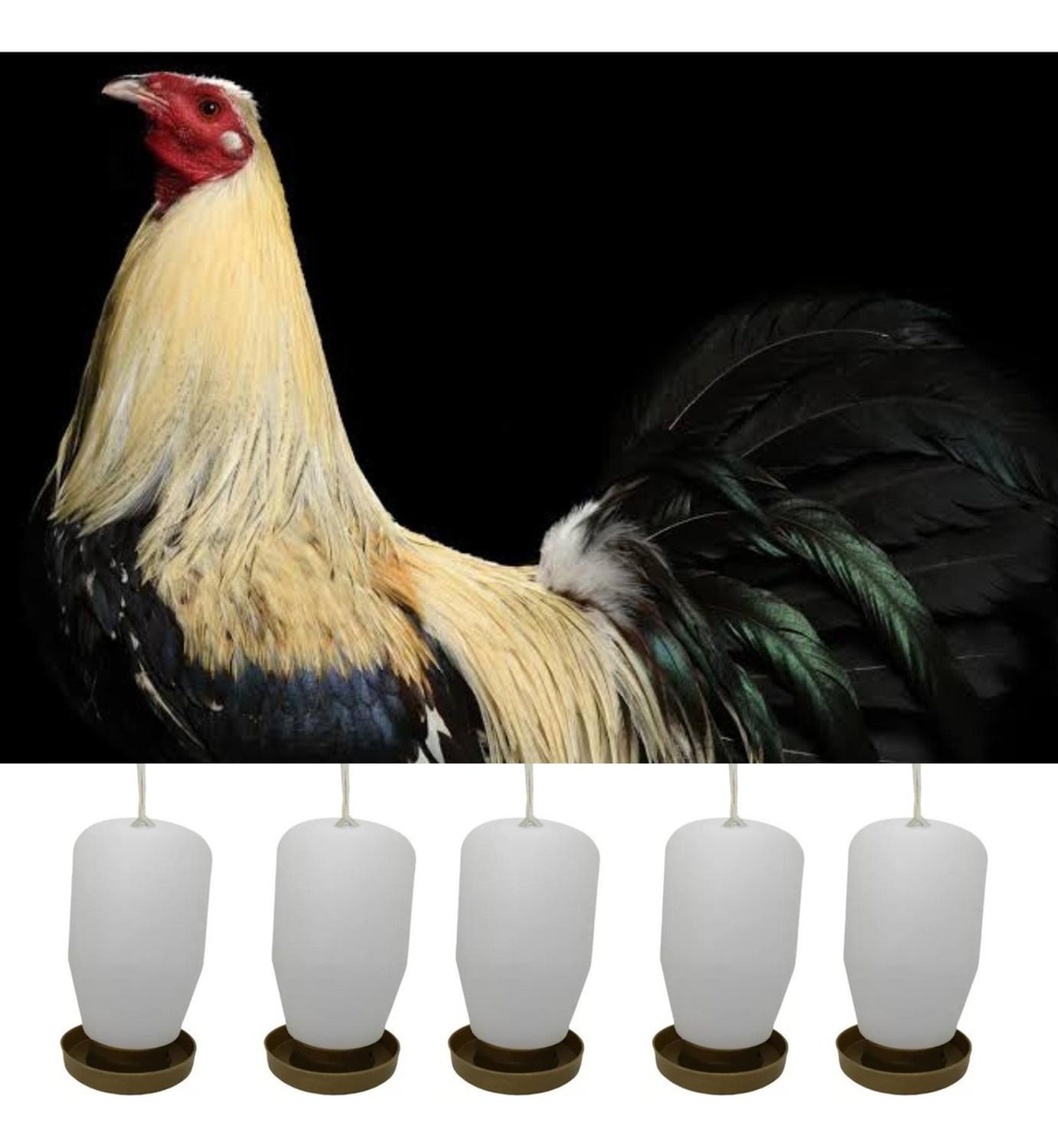 jpg_1500x1500_58710060