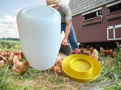 Bebedero Para Pollos O Pajaros De 4l