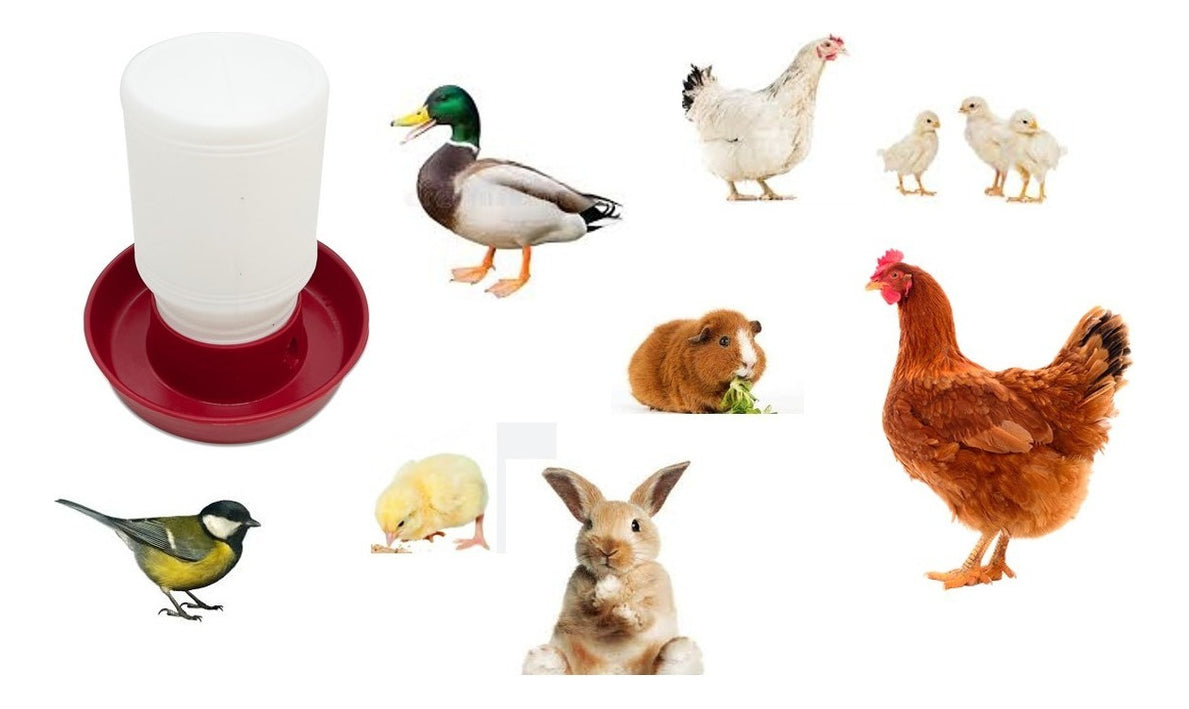 Bebedero Para Pollo O Pájaro 1/2 Litro